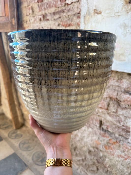 Duna acanalada Beigrisar