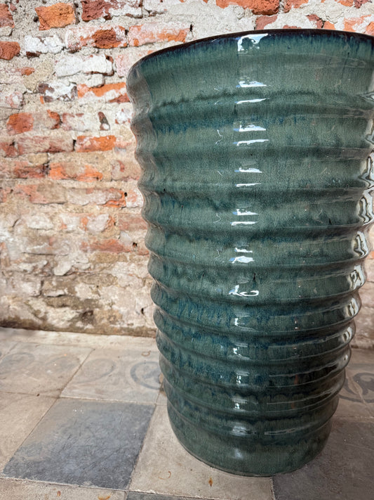 Eclat Acanalada petróleo