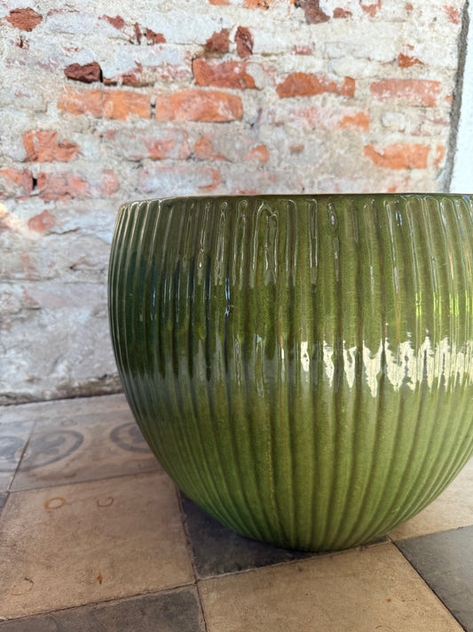 Lavinia Acanalada Verde