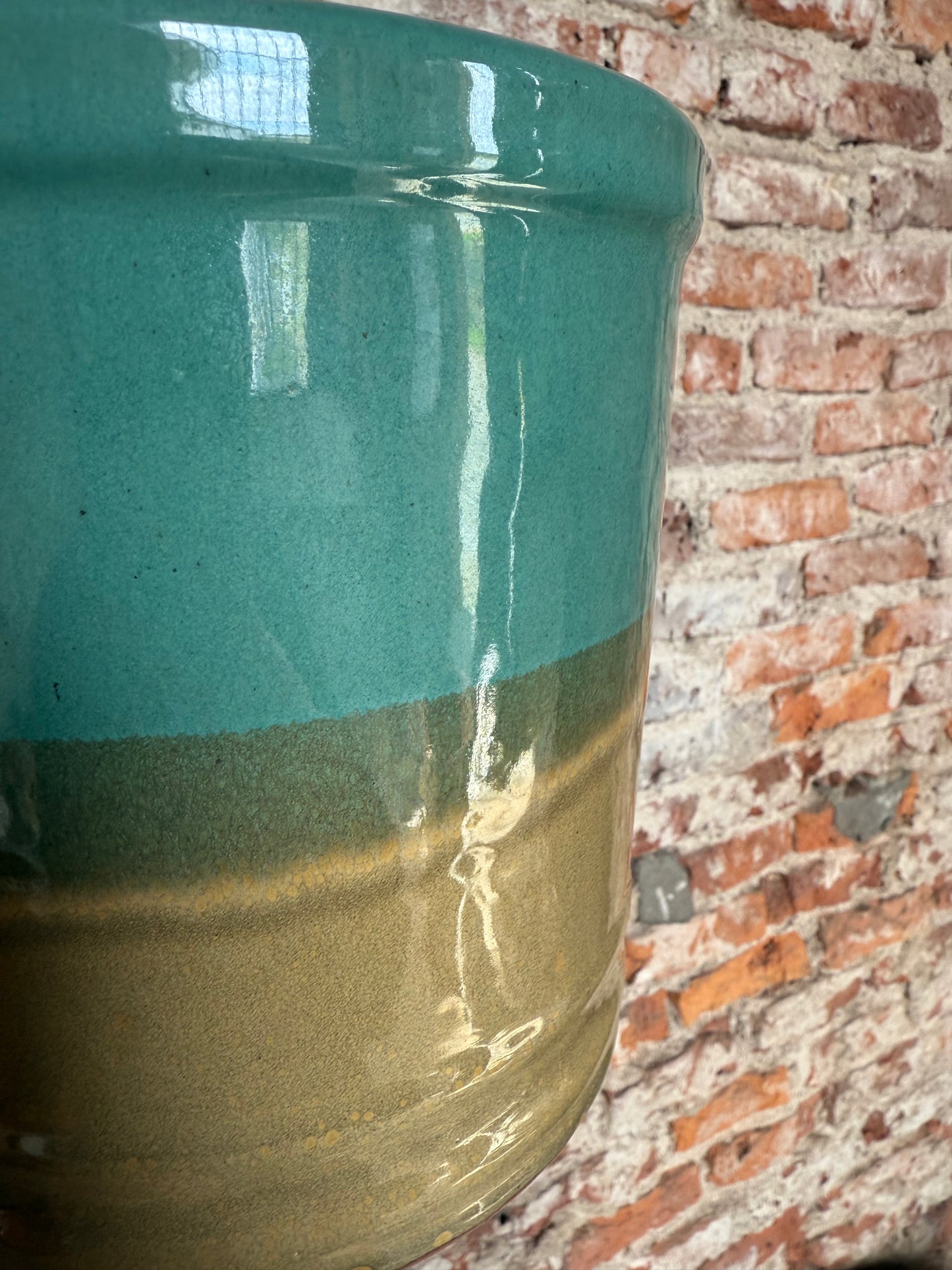 Lily degrade beige/verde