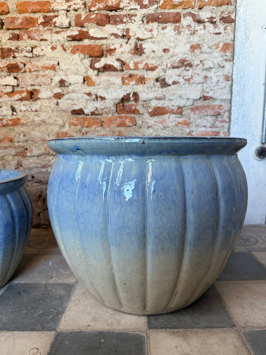 Cucurbita Azul Arena