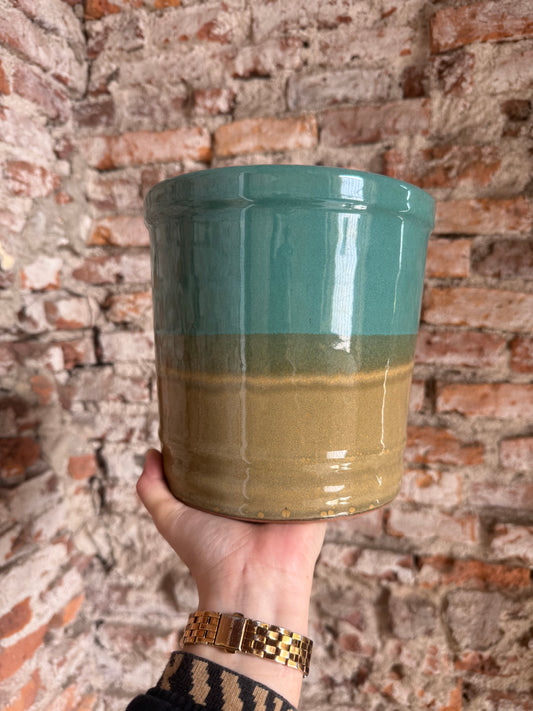 Lily degrade beige/verde