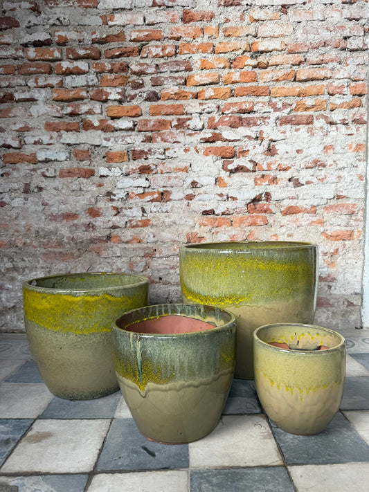 Noble Degrade Vemobe