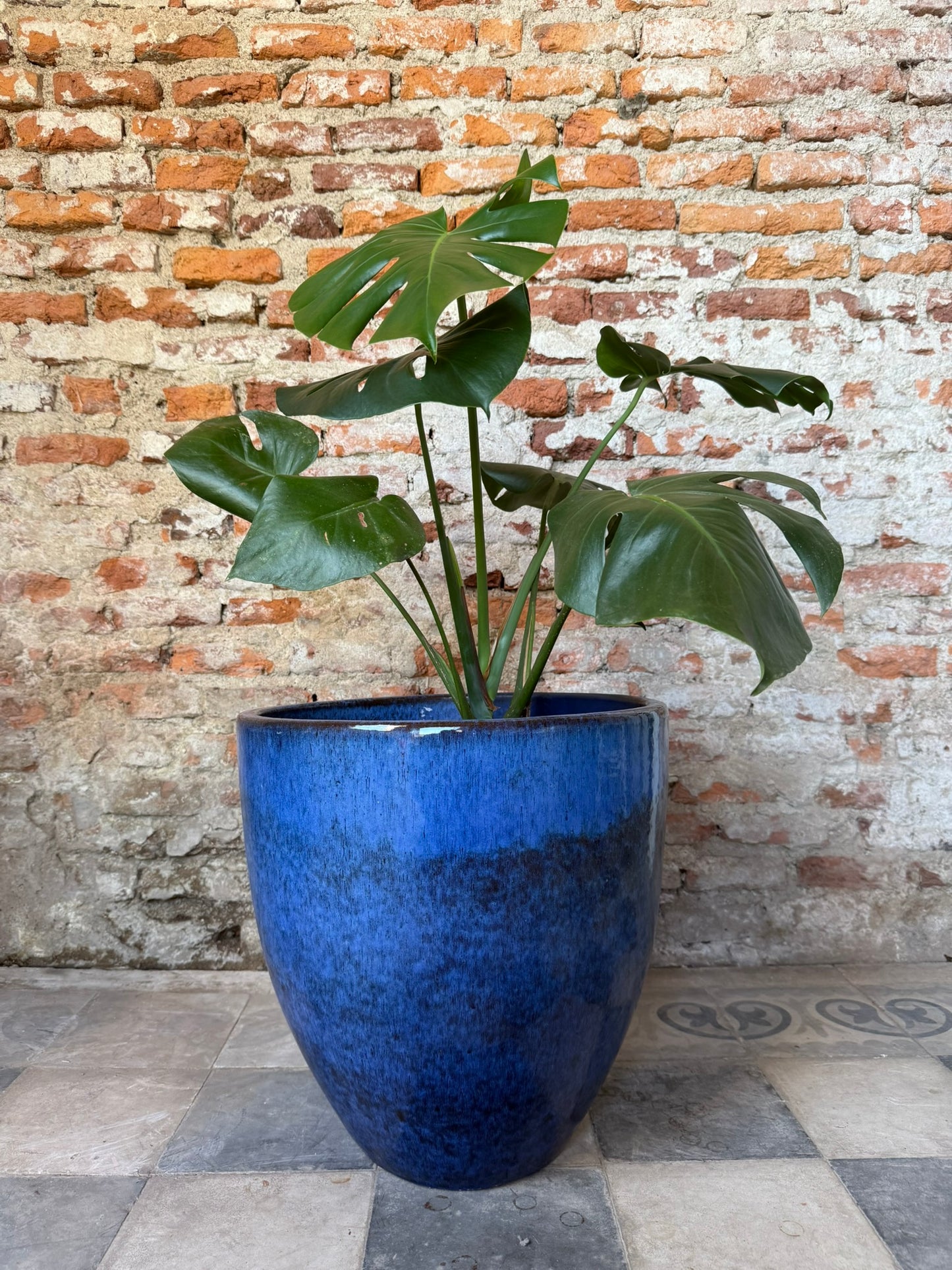 Duna Azul Cobalto