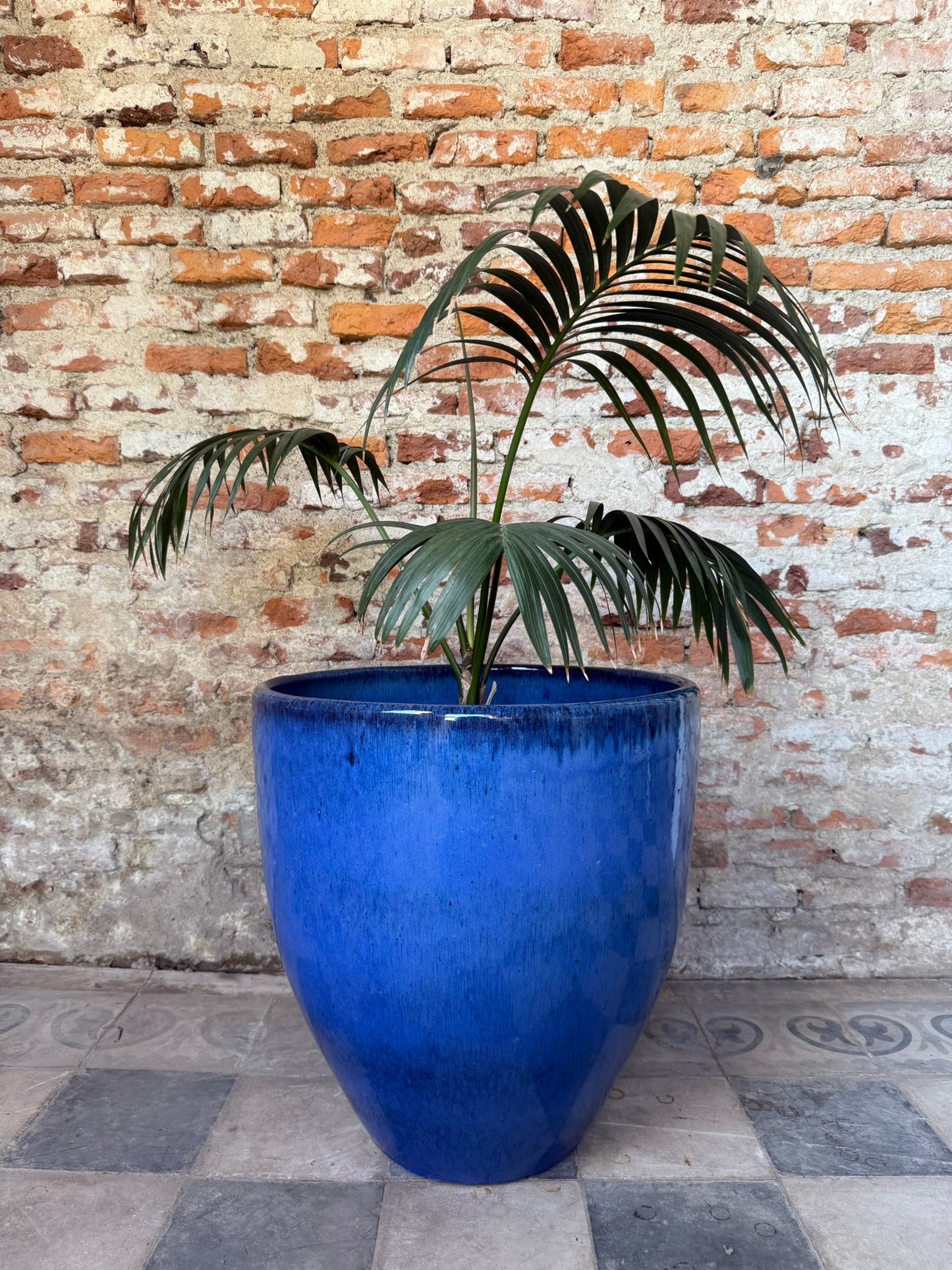 Duna Azul Cobalto