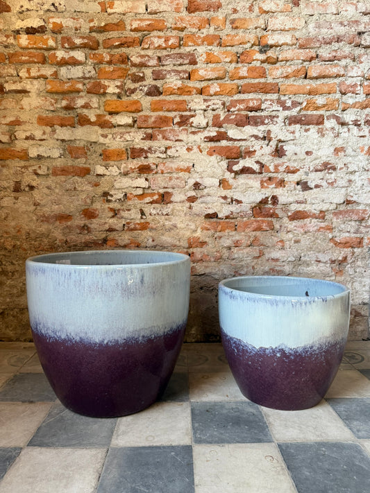 Noble Glaciar Lavanda