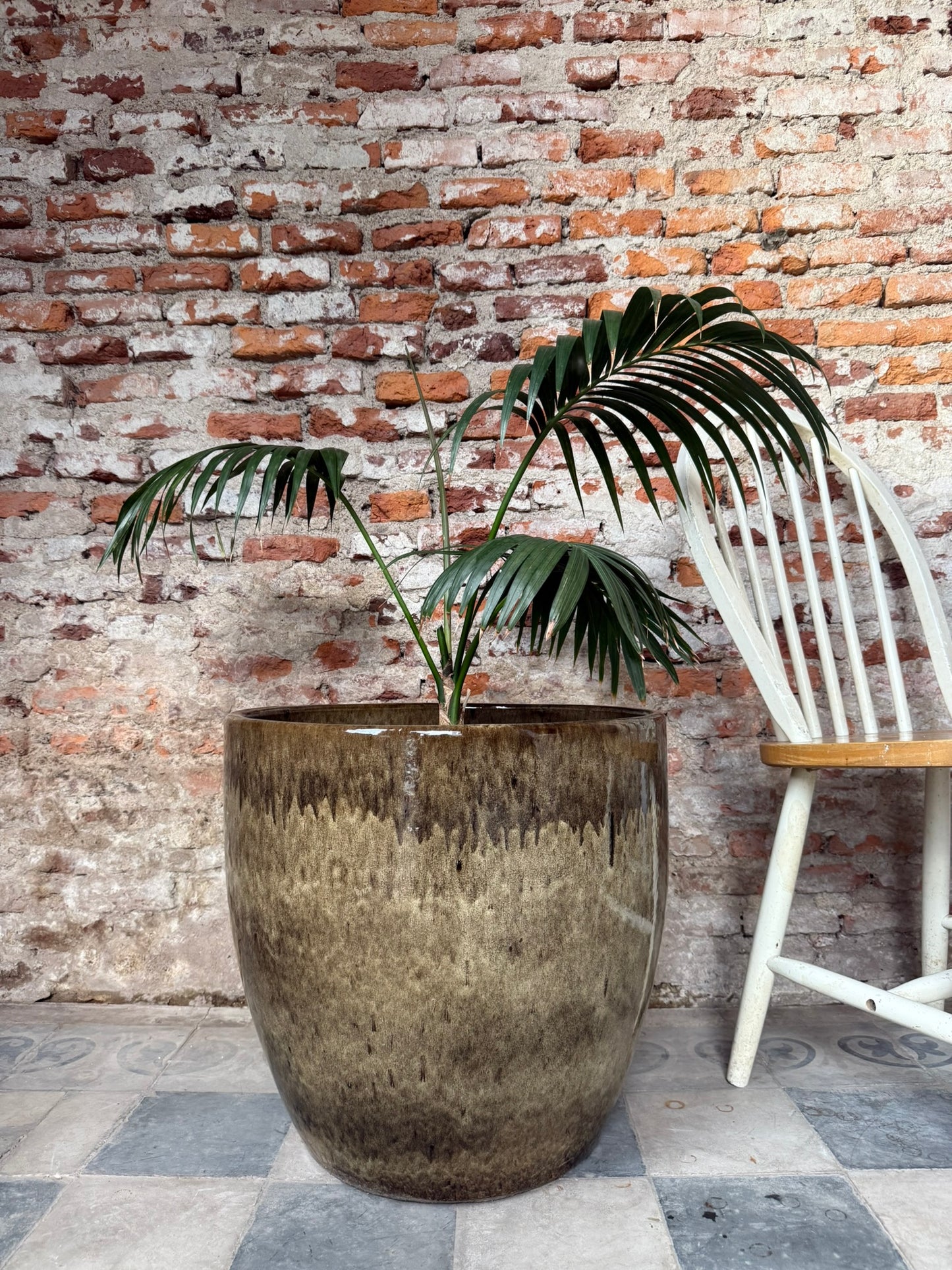 Noble Arena Mas Tostado