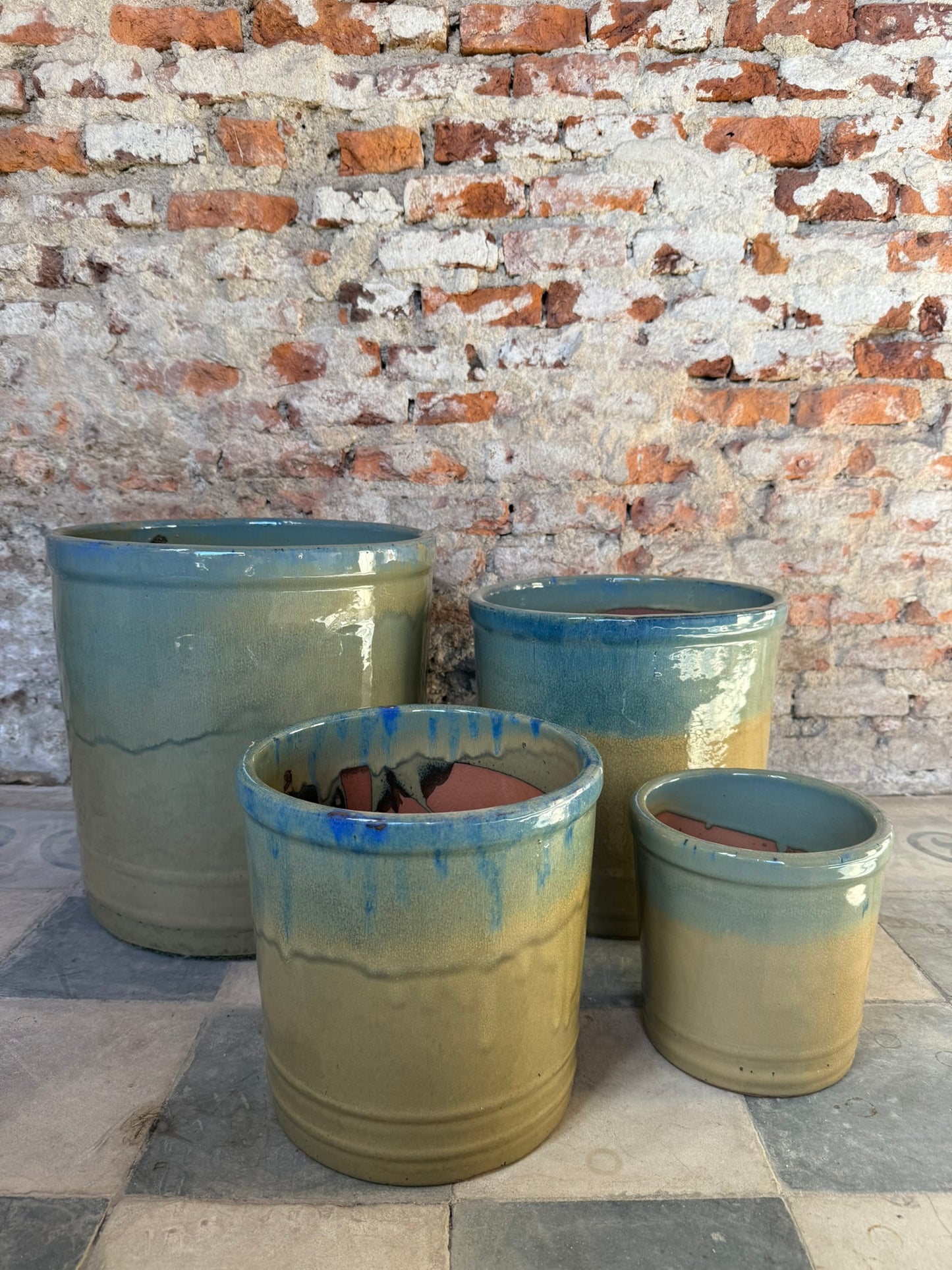 Lily Degrade Beiveraz