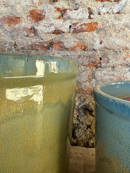 Lily Degrade Beiveraz