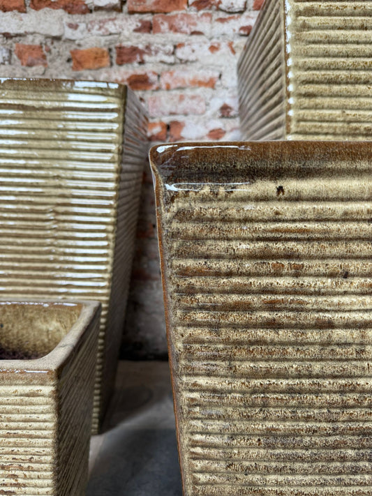 Corimbo Acanalado Arena Tostado