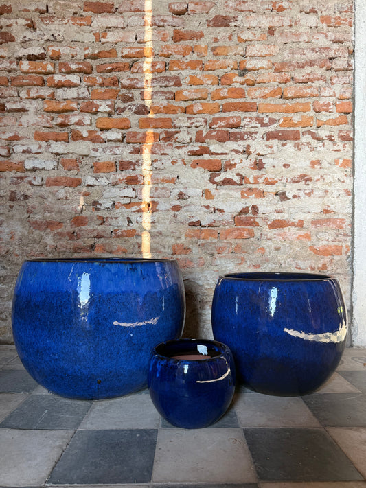 Lavinia Azul