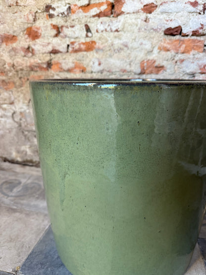 Aurora Verde Oliva