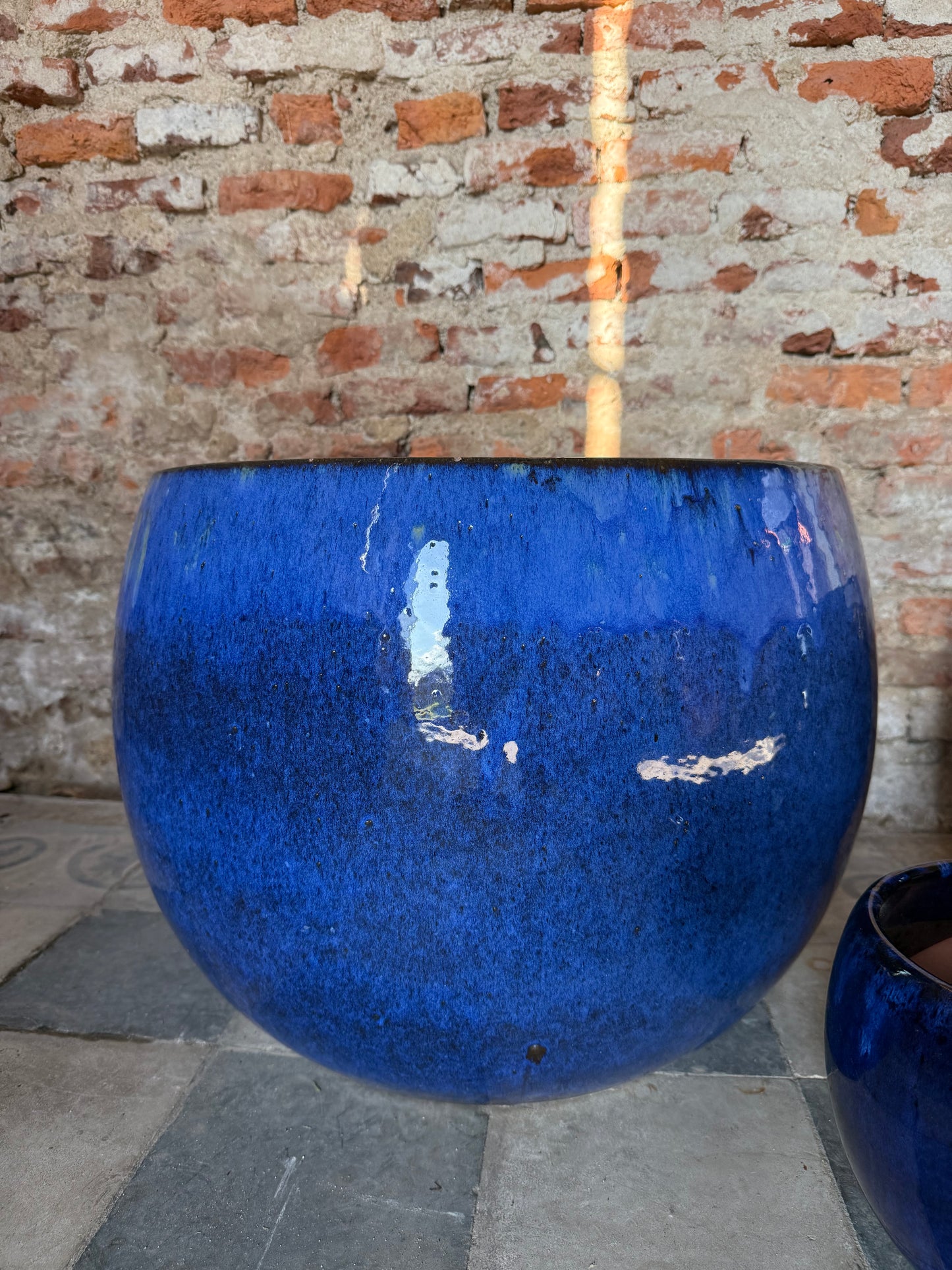 Lavinia Azul