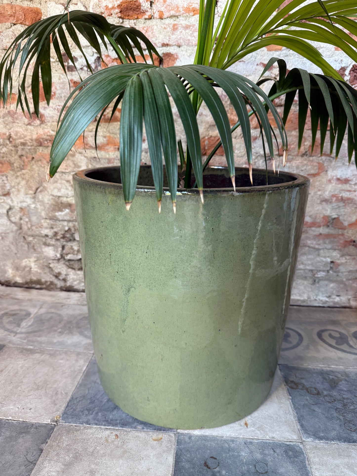Aurora Verde Oliva