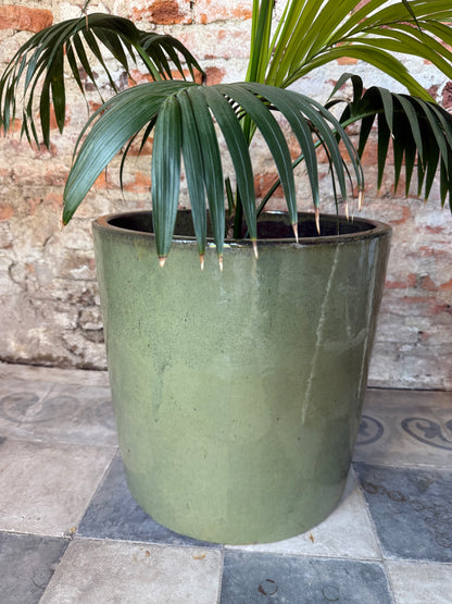 Aurora Verde Oliva