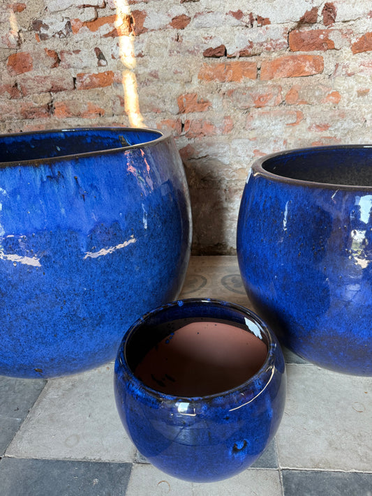 Lavinia Azul