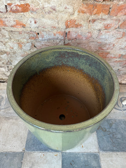 Aurora Verde Oliva
