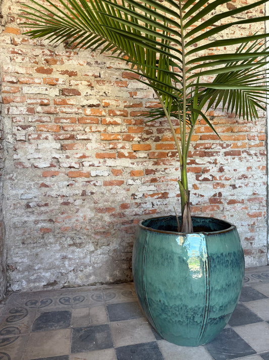 Bórea verde jade