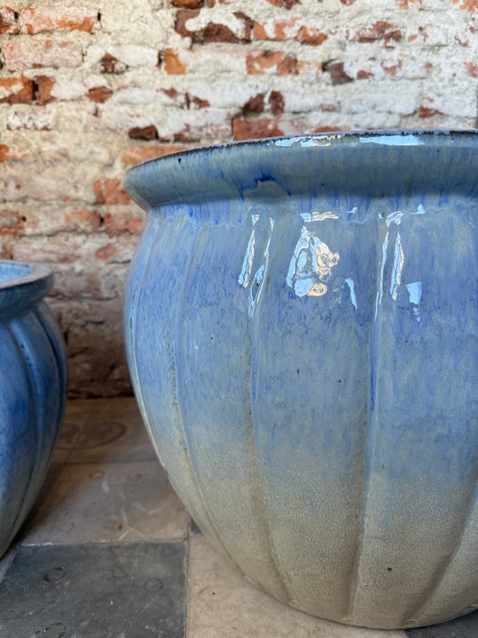 Cucurbita Azul Arena