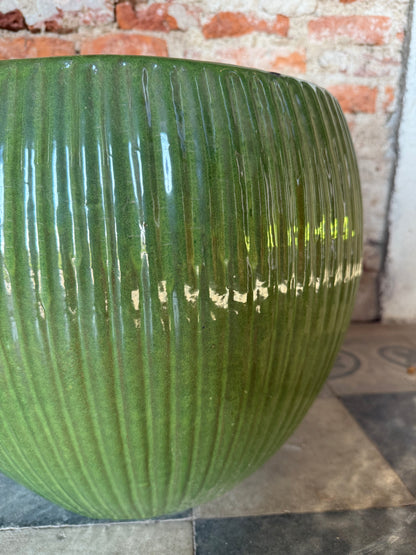Lavinia Acanalada Verde
