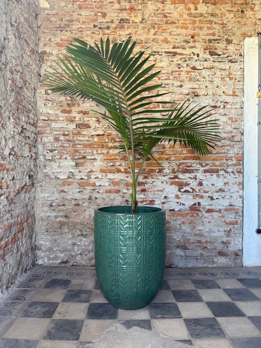 Bauhaus Verde Seda