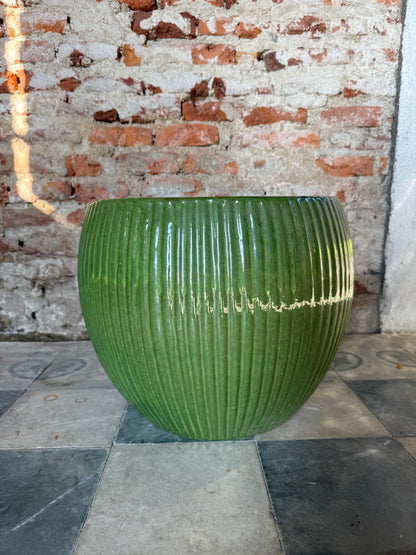 Lavinia Acanalada Verde