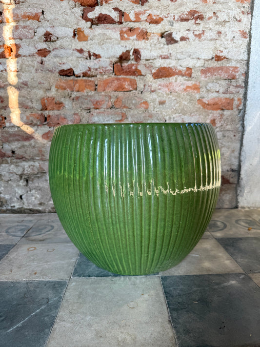Lavinia Acanalada Verde