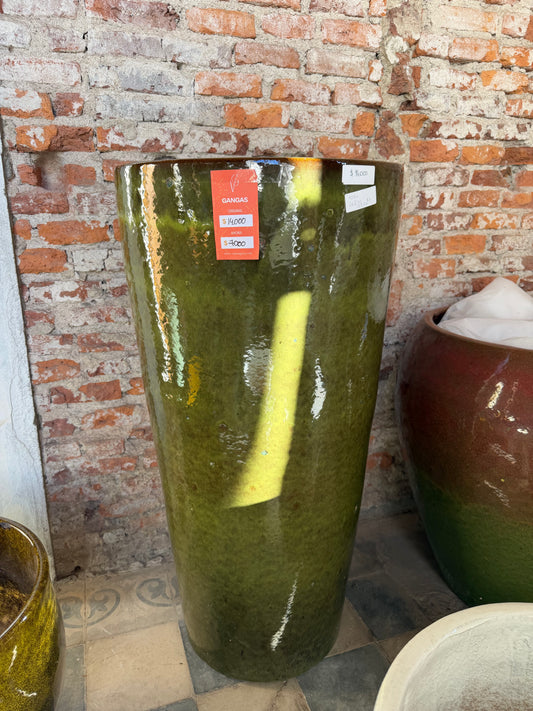 GANGA VERDE MUSGO GIGANTE