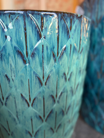 Palmira Aqua