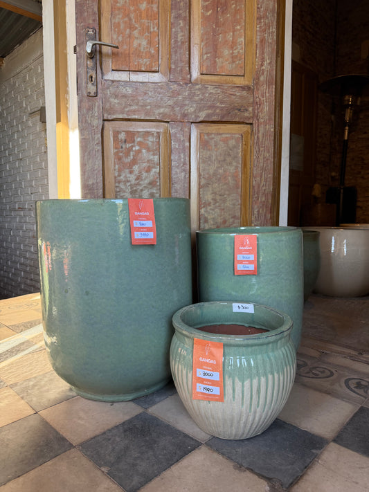GANGAS VERDE PASTEL