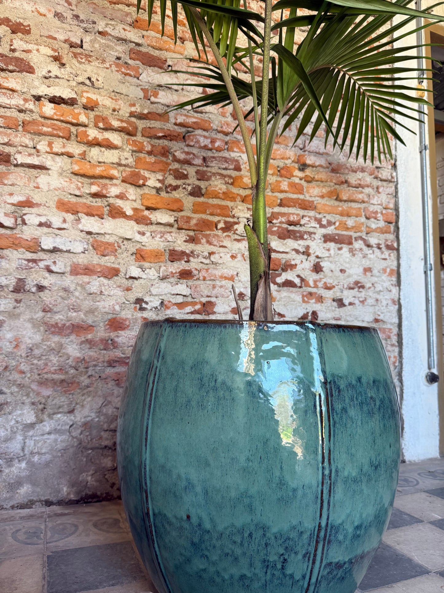 Bórea verde jade