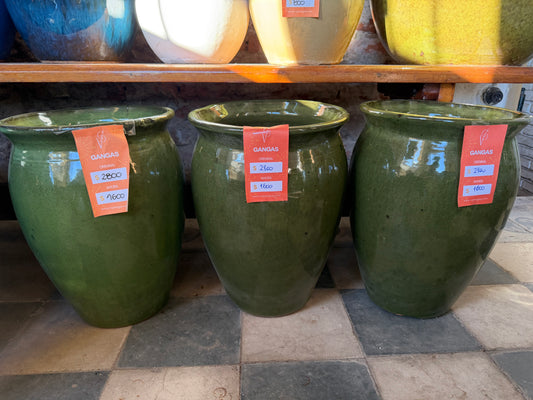 GANGAS MEDIANAS EN VERDE