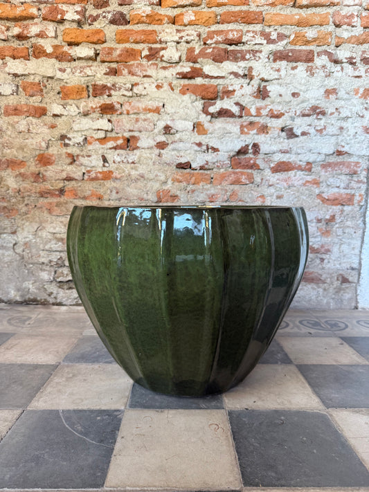 Altamira Verde Musgo