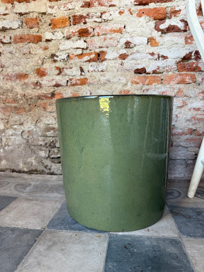 Aurora Verde Oliva