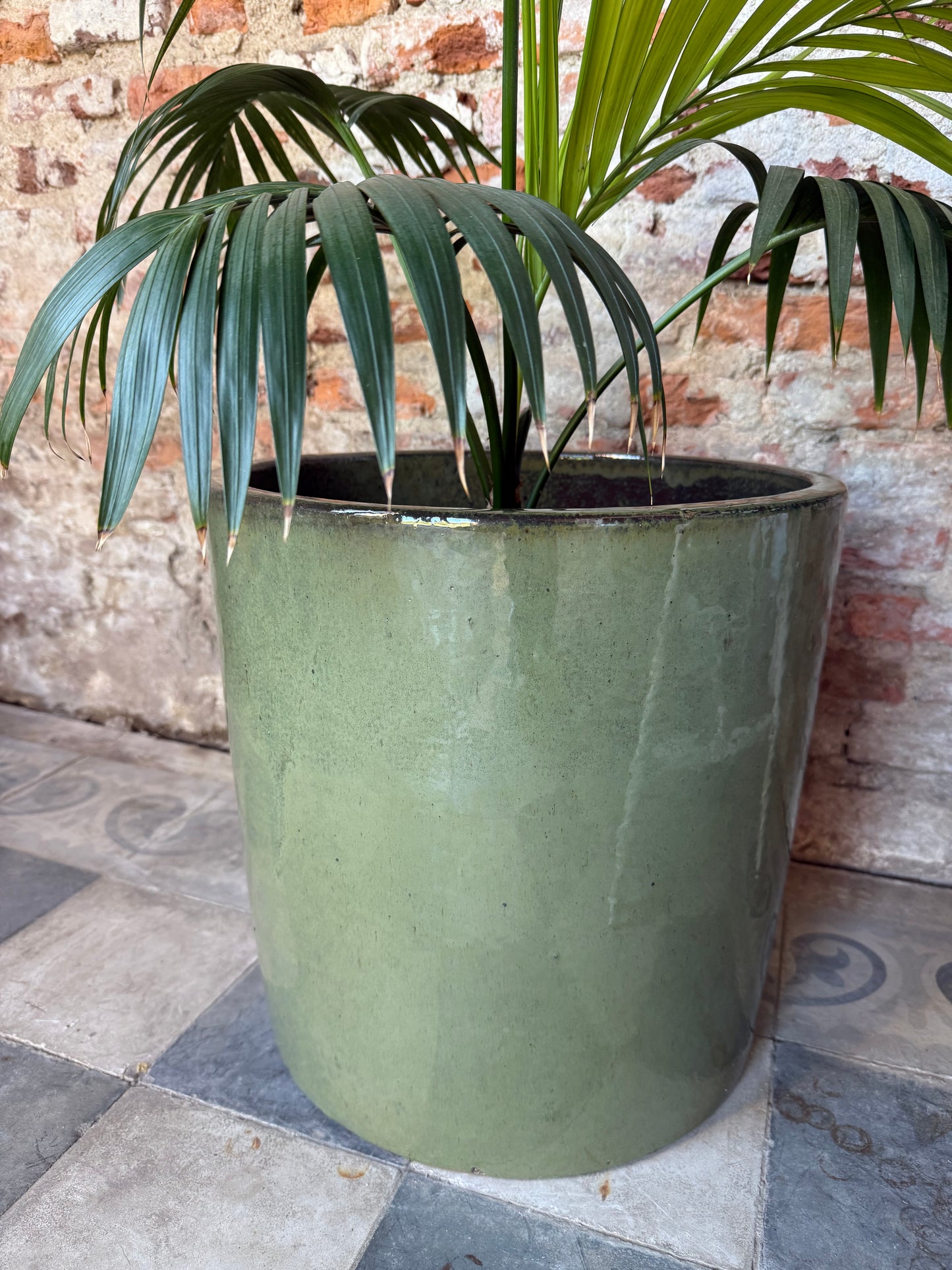 Aurora Verde Oliva