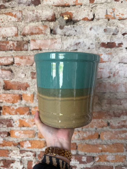 Lily degrade beige/verde