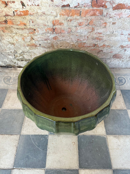 Altamira Verde Musgo