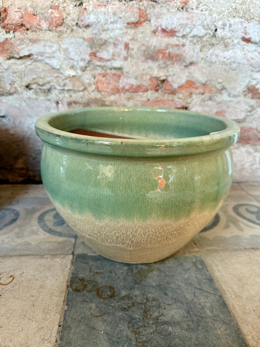 Iberis Degrade Verde