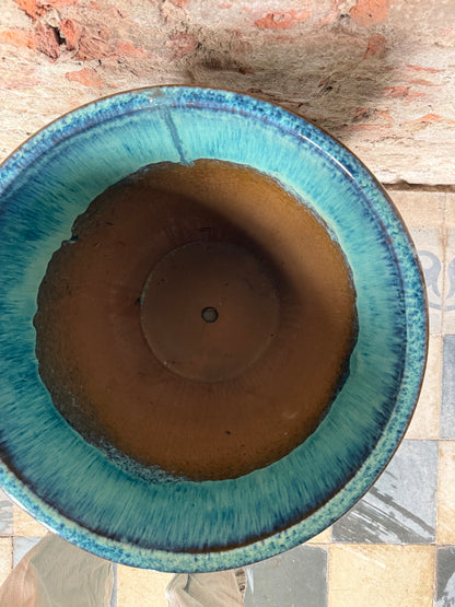 Regalía Aqua