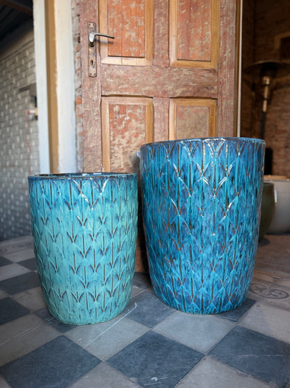 Palmira Aqua