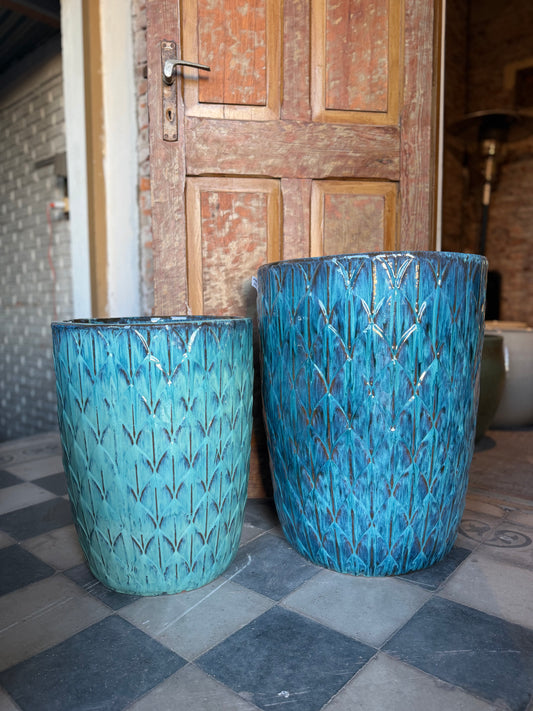 Palmira Aqua