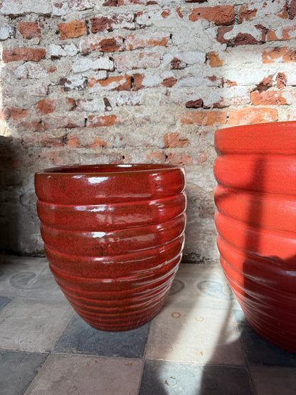 Adelfilla Rojo