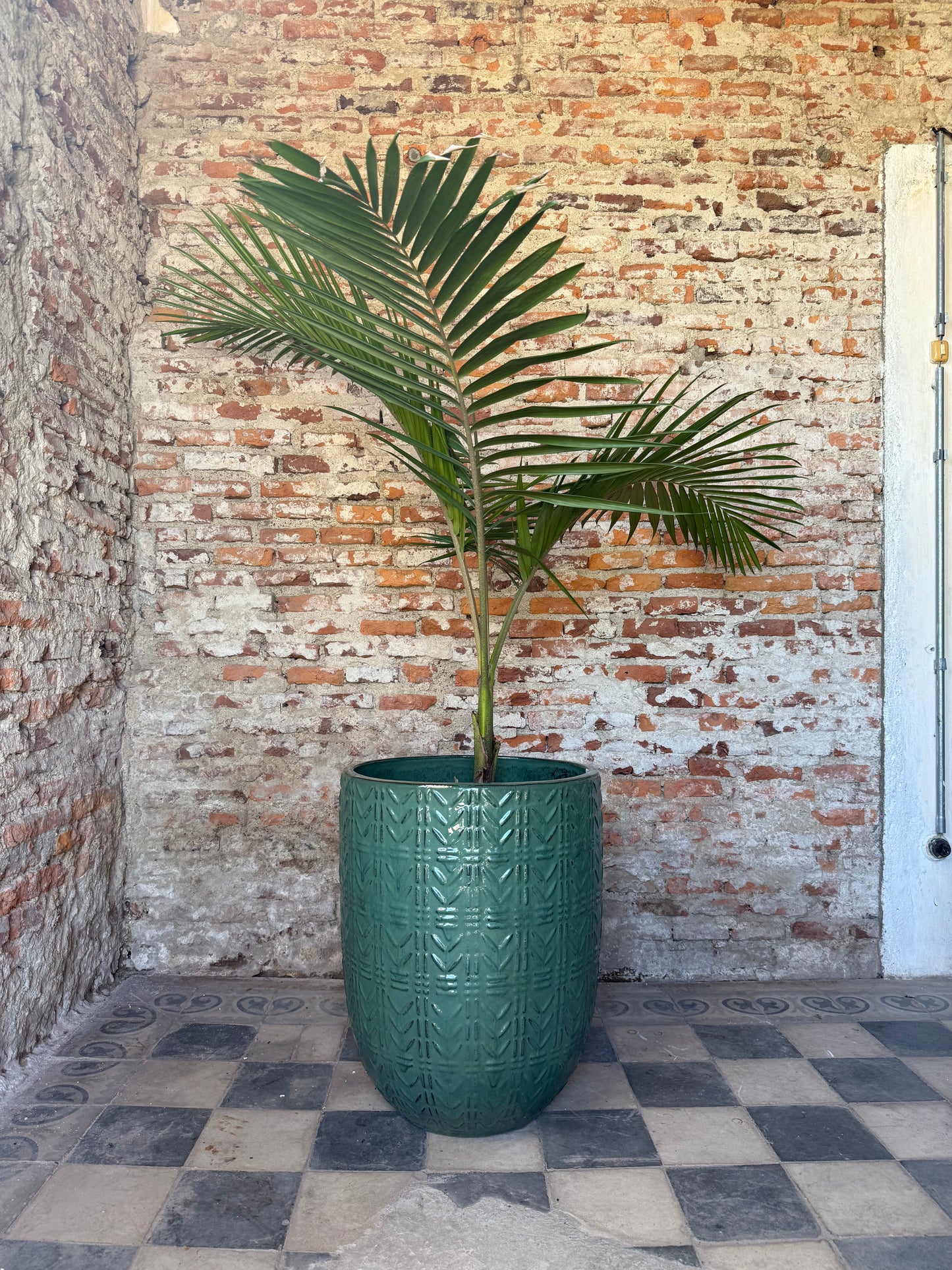 Bauhaus Verde Seda