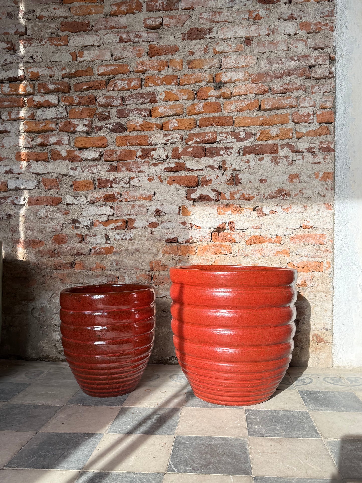 Adelfilla Rojo