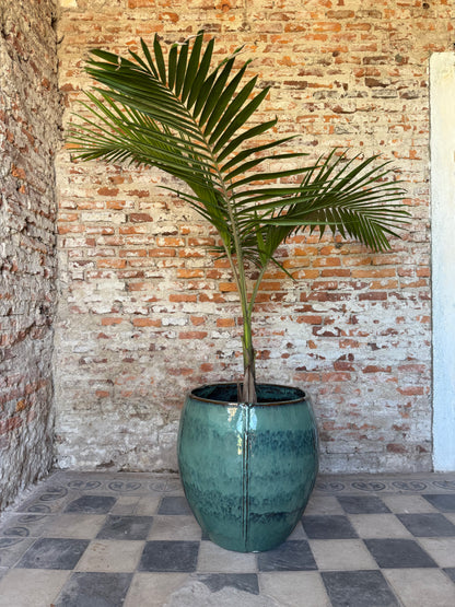 Bórea verde jade