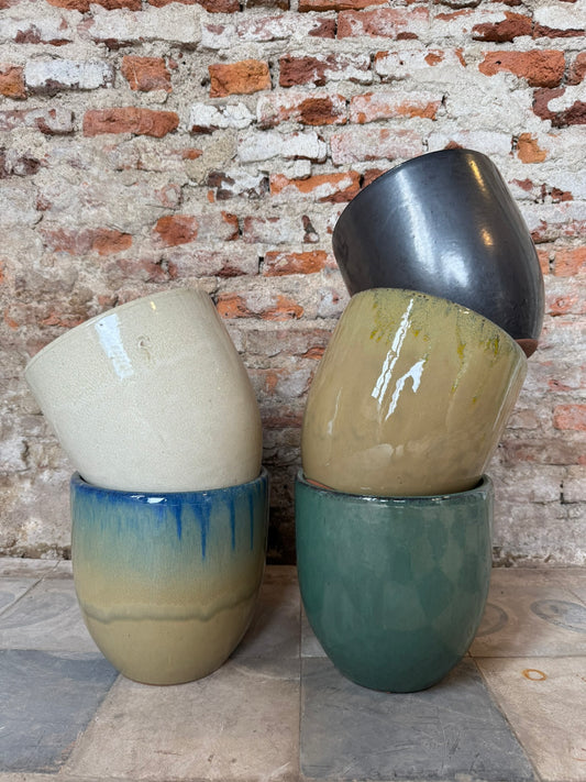 Mini Regalía