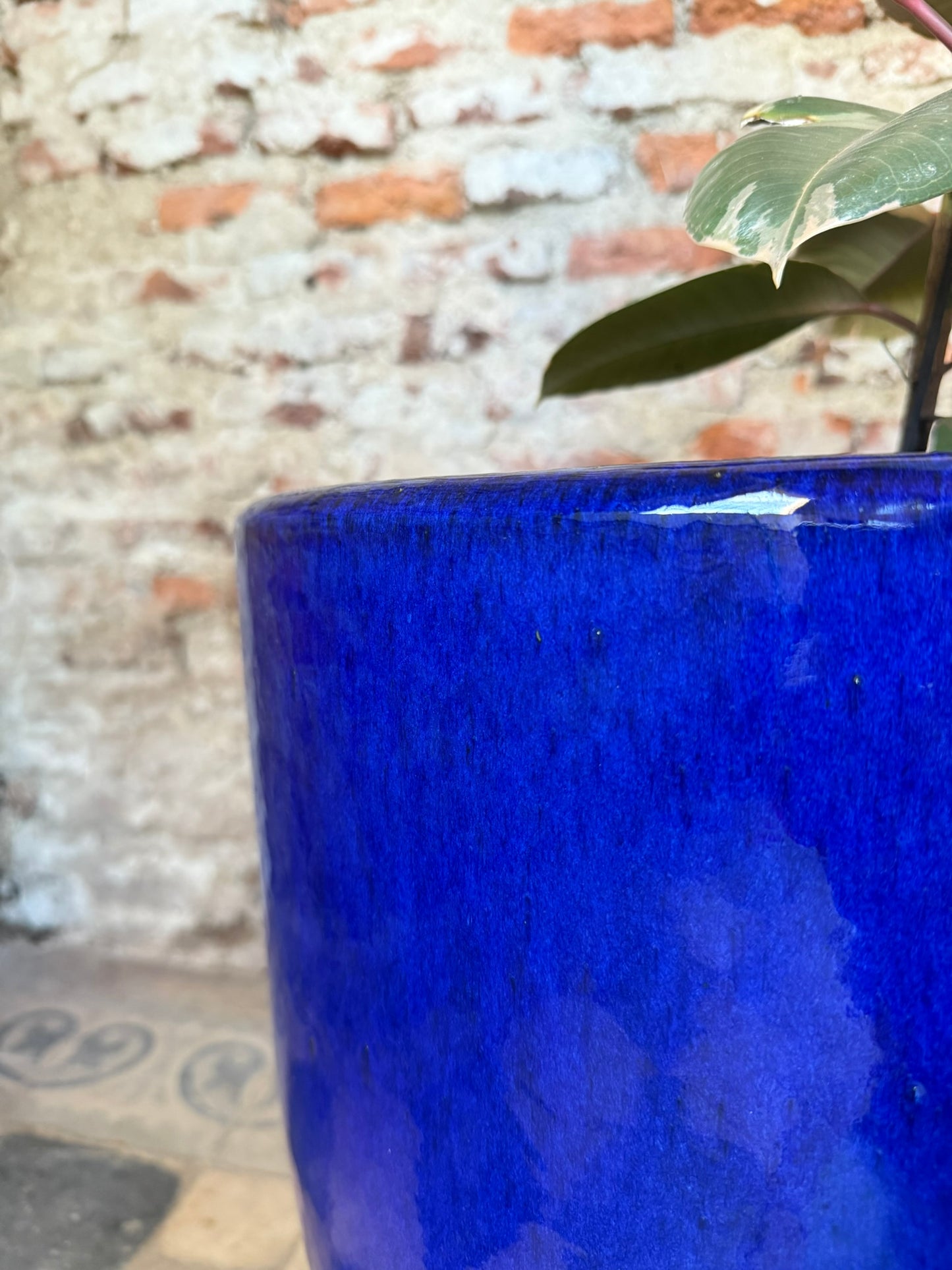 Noble Azul