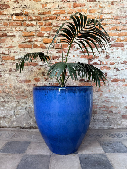 Duna Azul Cobalto