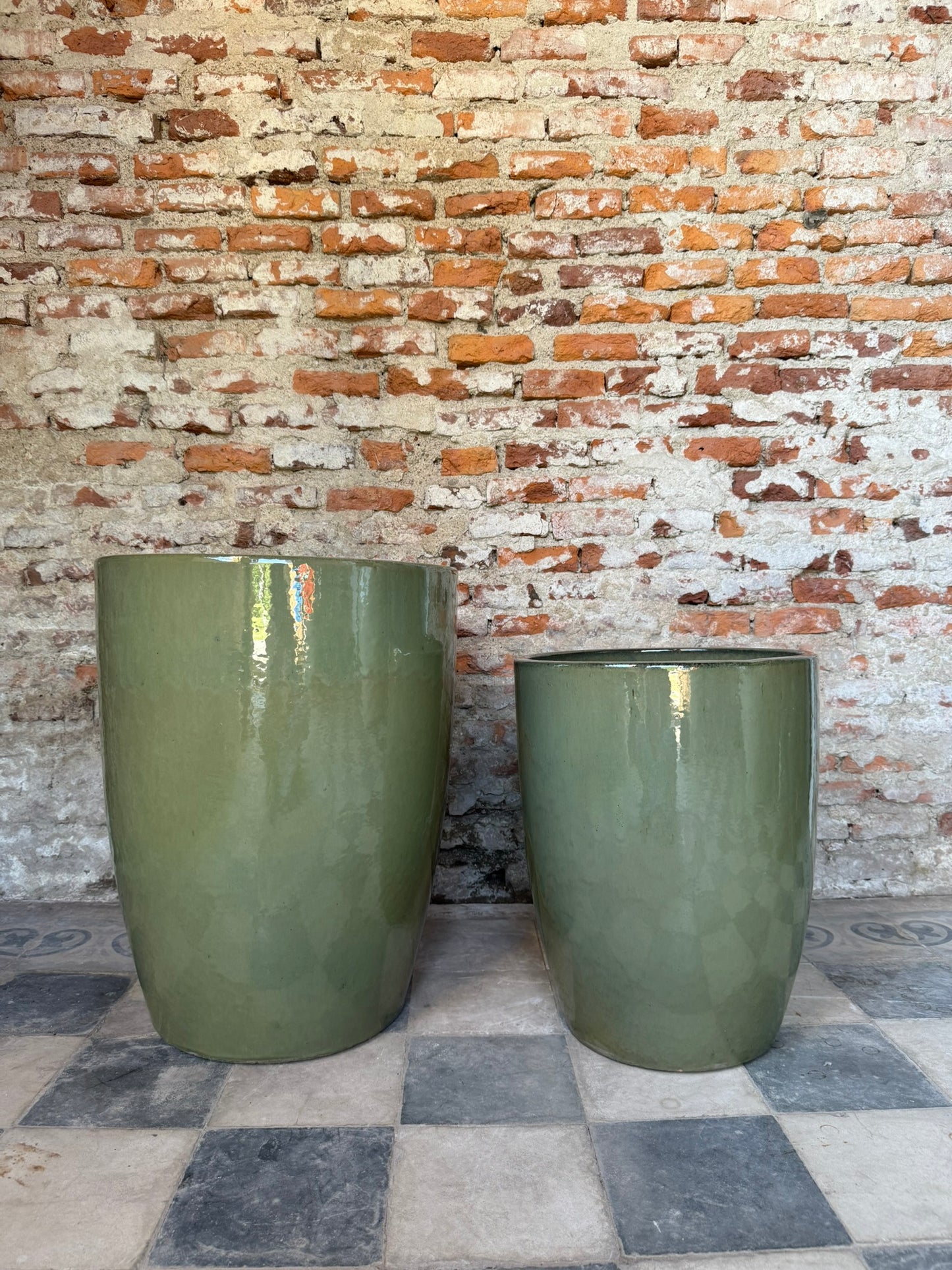 Regalía Verde Oliva