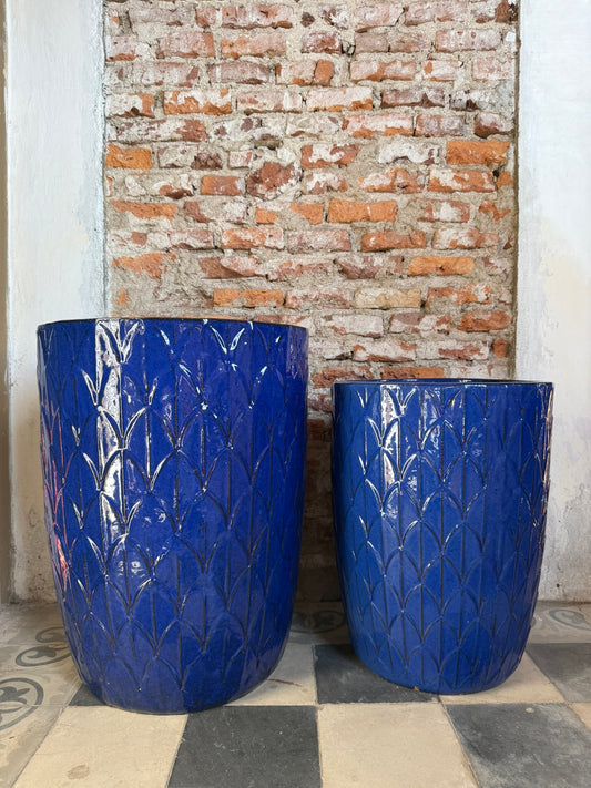 Palmira Azul